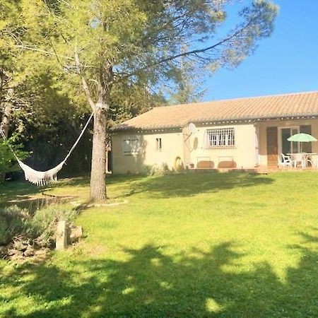 Villa 110M2, 7 Pers, Jacuzzi , 3 Chambres, Terrain Clos Et Arbore 2500M2 Trebes Bagian luar foto